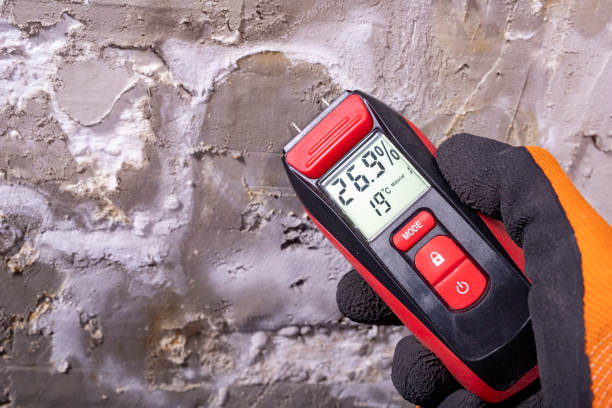 Best Industrial Mold Remediation in West Mayfield, PA